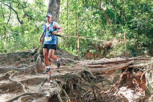 BIB: 
                            <button type="button" onclick="openModal(27719078)" class="btn btn-primary btn-sm float-right btn-popup" data-toggle="modal" data-target=".modal-high-quality">
                        <i class="fas fa-shopping-cart"></i> Add to Cart
                    </button>
                                            <button type="button" onclick="isThisMe(27719078, true)" class="btn btn-success btn-sm float-right btn-popup btn-isme hidden" data-toggle="tooltip" data-placement="bottom" title="นี่คือรูปของคุณใช่ไหม คลิกที่นี่เพื่อเอาเข้าอัลบั้ม">
                        <i class="fas fa-plus"></i> Add to album
                    </button>
                    <button type="button" onclick="isThisMe(27719078, false)" class="btn btn-warning btn-sm float-right btn-popup btn-isnotme hidden">
                        <i class="fas fa-ban"></i> Remove from album
                    </button>